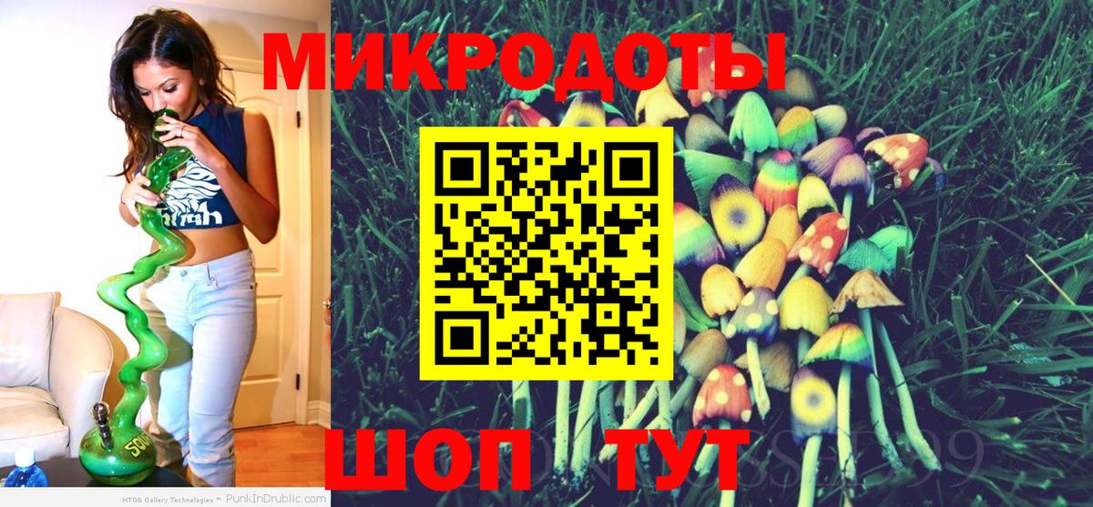 Псилоцибиновые грибы Cubensis Кировск