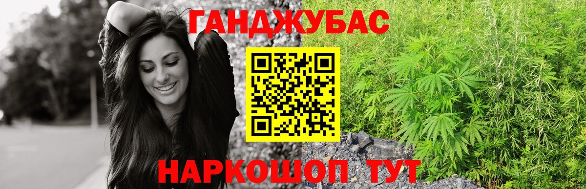 Каннабис сатива Кировск